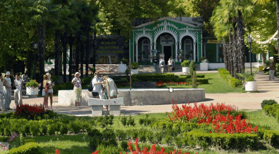 Каснодарский край. СОЧИ