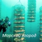 морепродукты